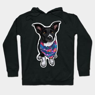 Annie Oakley - Dogs of Redstone, Colorado Hoodie